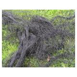 NET AND MORE NETTING