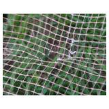 NET AND MORE NETTING