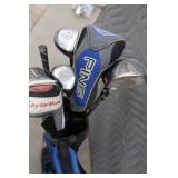 SET OF GOLF CLUBS w/ PING BAG