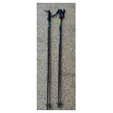 Whiski Poles Flask Ski Poles