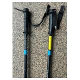 Whiski Poles Flask Ski Poles