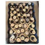 Collection of Curtain Tie Back Knobs