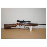 Ruger 10/22 Carbine .22 LR Semi-Auto Rifle - Bushnell Banner Scope