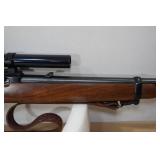 Ruger 10/22 Carbine .22 LR Semi-Auto Rifle - Bushnell Banner Scope