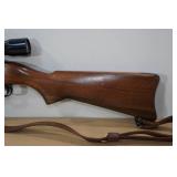 Ruger 10/22 Carbine .22 LR Semi-Auto Rifle - Bushnell Banner Scope