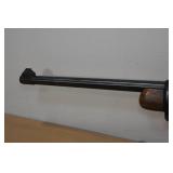 Ruger 10/22 Carbine .22 LR Semi-Auto Rifle - Bushnell Banner Scope