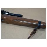 Ruger 10/22 Carbine .22 LR Semi-Auto Rifle - Bushnell Banner Scope