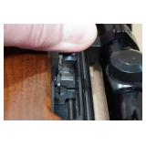 Ruger 10/22 Carbine .22 LR Semi-Auto Rifle - Bushnell Banner Scope