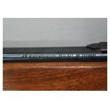 JC Higgins Model 29 .22 LR Semi-Auto Rifle