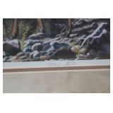 *3* Framed Wildlife Prints