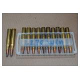 12 .270 Win SP Ammo