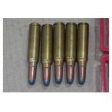 25 .300 Savage SP Ammo