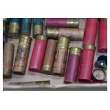 Assorted 12 Gauge Shotshells