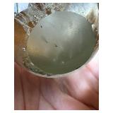 Unique Hand blown Glass Paperweight with Phosphorescent Glow in the Dark Luminous Jellyfish Design