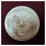 2013 Silver Eagle 1 oz Coin