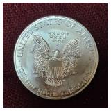 2013 Silver Eagle 1 oz Coin