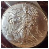 2013 Silver Eagle Uncirculated