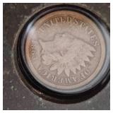 4-Indian Head Pennies