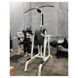 Matrix Dual Dip & Pull Up Bar Power Tower