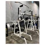 Matrix Dual Dip & Pull Up Bar Power Tower