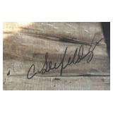 Serene Framed Photographic Print by Carol Seefeldt