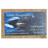 Serene Framed Photographic Print by Carol Seefeldt