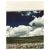 Breathtaking Floral Framed Photo from Wilderness Photography by Jim Young