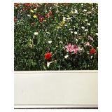 Breathtaking Floral Framed Photo from Wilderness Photography by Jim Young