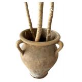 Gorgeous Tall Real Dragon Tree with Two Handled Planter