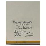 Breathtaking Floral Framed Photo from Wilderness Photography by Jim Young