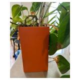 Two Beautiful Plants in a Bright Orange Vase and Terra Cotta Pot