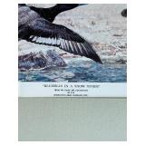 Framed Print Bluebills in a Snow Storm from The Game Art Collection of The Remington Arms Company, Inc. Art Print