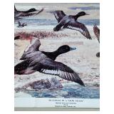 Framed Print Bluebills in a Snow Storm from The Game Art Collection of The Remington Arms Company, Inc. Art Print