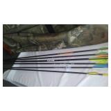 Barnett Archery Vortex Compound Bow, Carry Case, Stadium Seat.