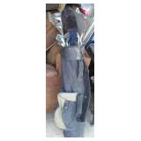 Dunlop, Northwestern Wilson Gold Club Variety