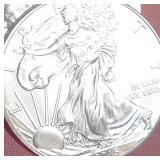 FIVE (5) 2015 SILVER EAGLES