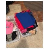 Assorted Collection of Scarves, Hats, Gloves, and Caps