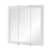 Home Decorators Collection 24 in. W x 24 in. H Rectangular Medicine Cabinet with Mirror