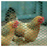 Lot of 2 - Poultry Netting Green Plastic 3ft x 25ft Everbilt