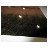 NATURESCAPE PHOTOGRAPHY