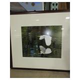 LISA ERICKSEN BIRD PHOTOGRAPHS