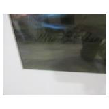 LISA ERICKSEN BIRD PHOTOGRAPHS