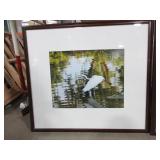 LISA ERICKSEN BIRD PHOTOGRAPHS