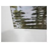 LISA ERICKSEN BIRD PHOTOGRAPHS