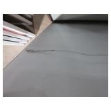 LISA ERICKSEN BIRD PHOTOGRAPHS