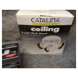 Assorted Home Lighting Fixtures - Recessed Kit, Ceiling Flush, Pin-Up Light