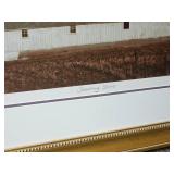 Artist Signed and Numbered Framed Artwork Print ~ Shooting Stars, 3/300