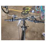 Roadmaster Granite Peak 22" Men