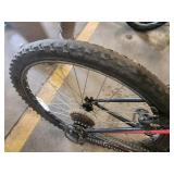 Roadmaster Granite Peak 22" Men