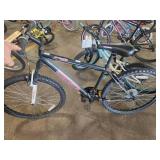 Roadmaster Granite Peak 22" Men